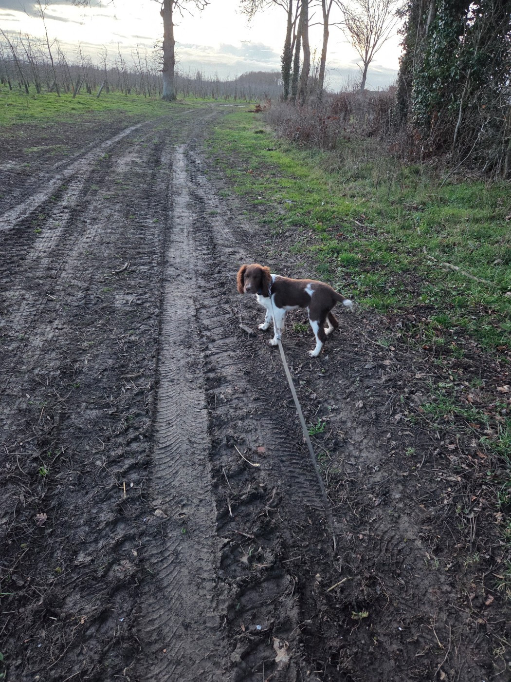 Apache Des Voix D'Hyris